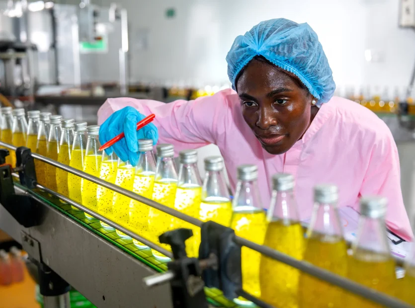 Agro Processing - Regimanuel Light Industrial Enclave - 1 (2)
