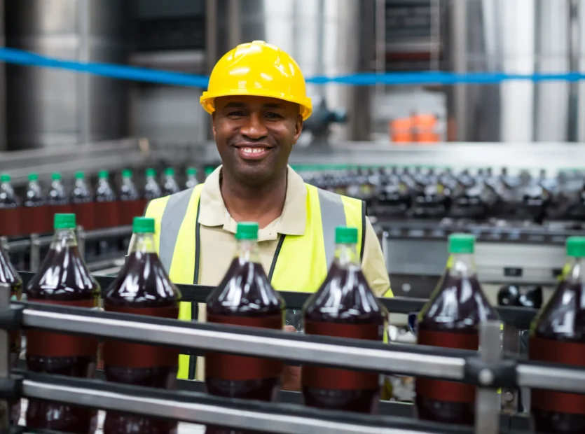 Agro Processing - Regimanuel Light Industrial Enclave - 1
