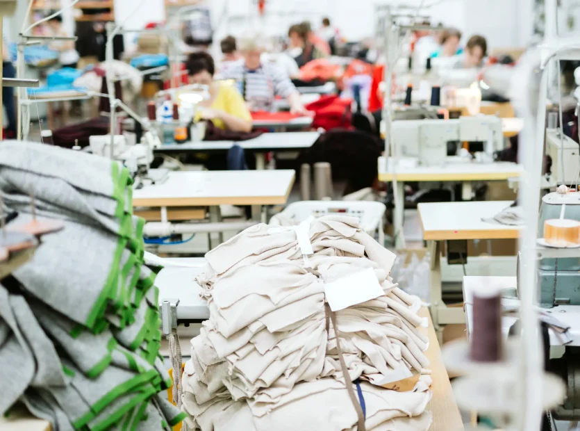 Textile Garment & Apparel Zone - Regimanuel Light Industrial Enclave - 3