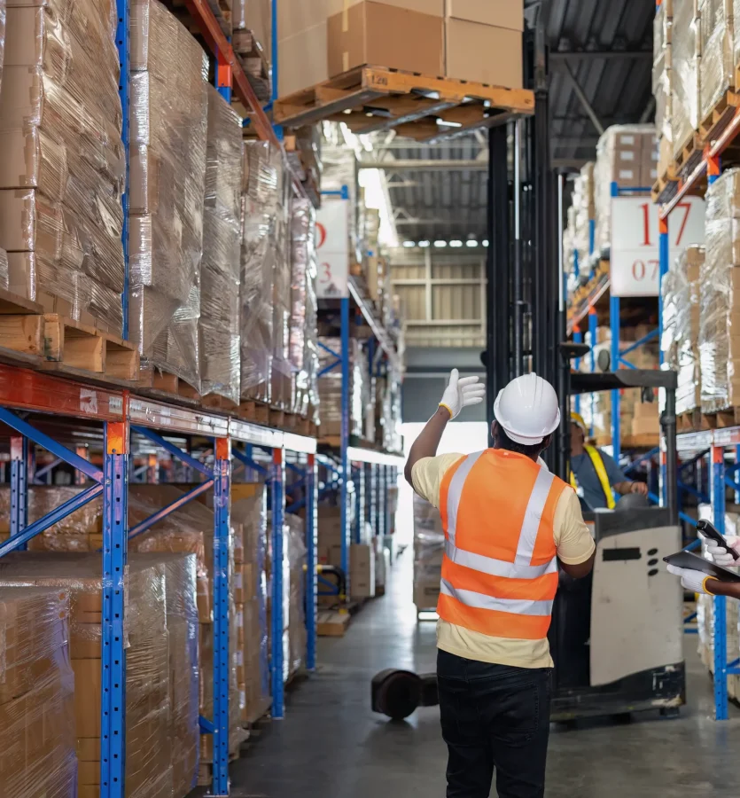 Warehousing & Logistics Zone - Regimanuel Light Industrial Enclave - 1