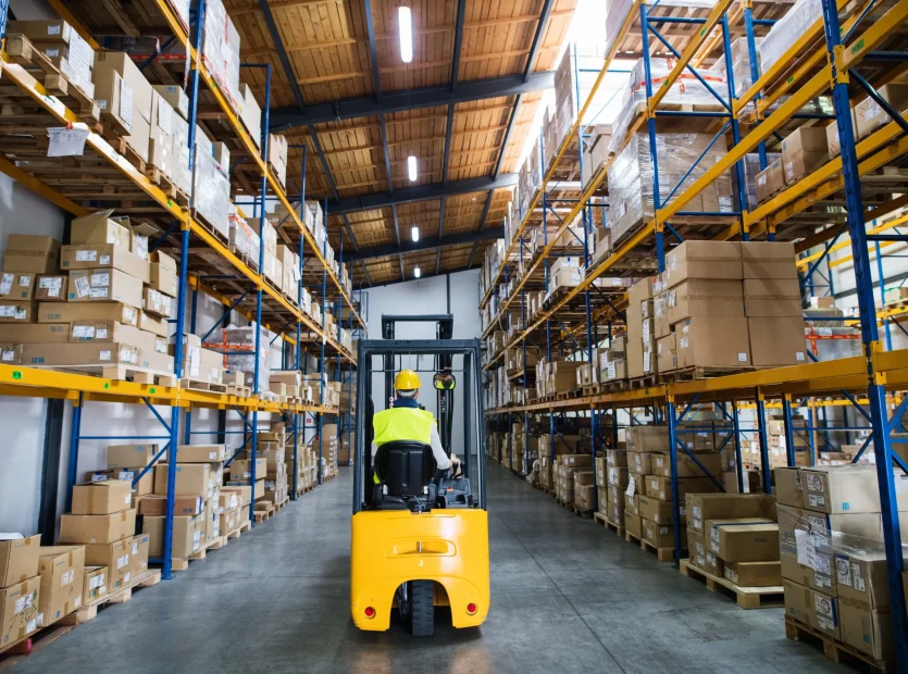 Warehousing & Logistics Zone - Regimanuel Light Industrial Enclave